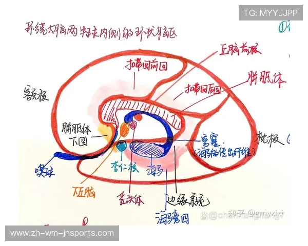 足球黄牌预警背后的运动心理学与情绪管控训练