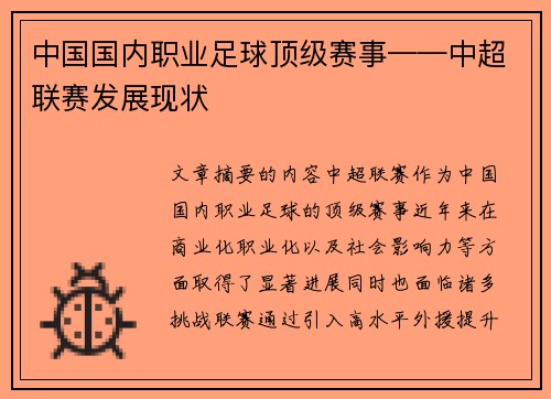 中国国内职业足球顶级赛事——中超联赛发展现状